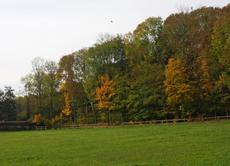 Herbststimmung-23-10-09 048.jpg